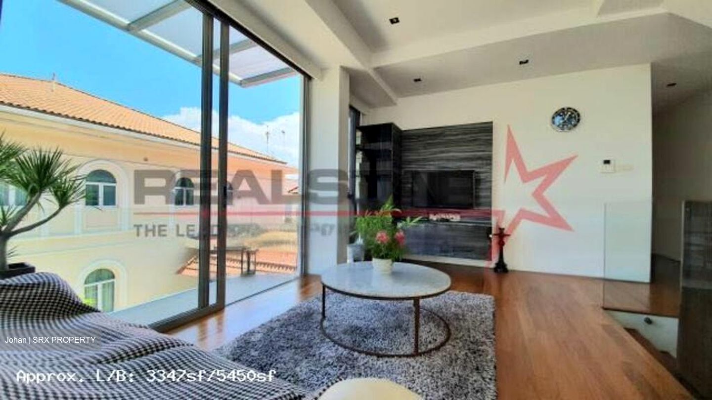 Tanjong Katong Road (D15), Semi-Detached #460994081